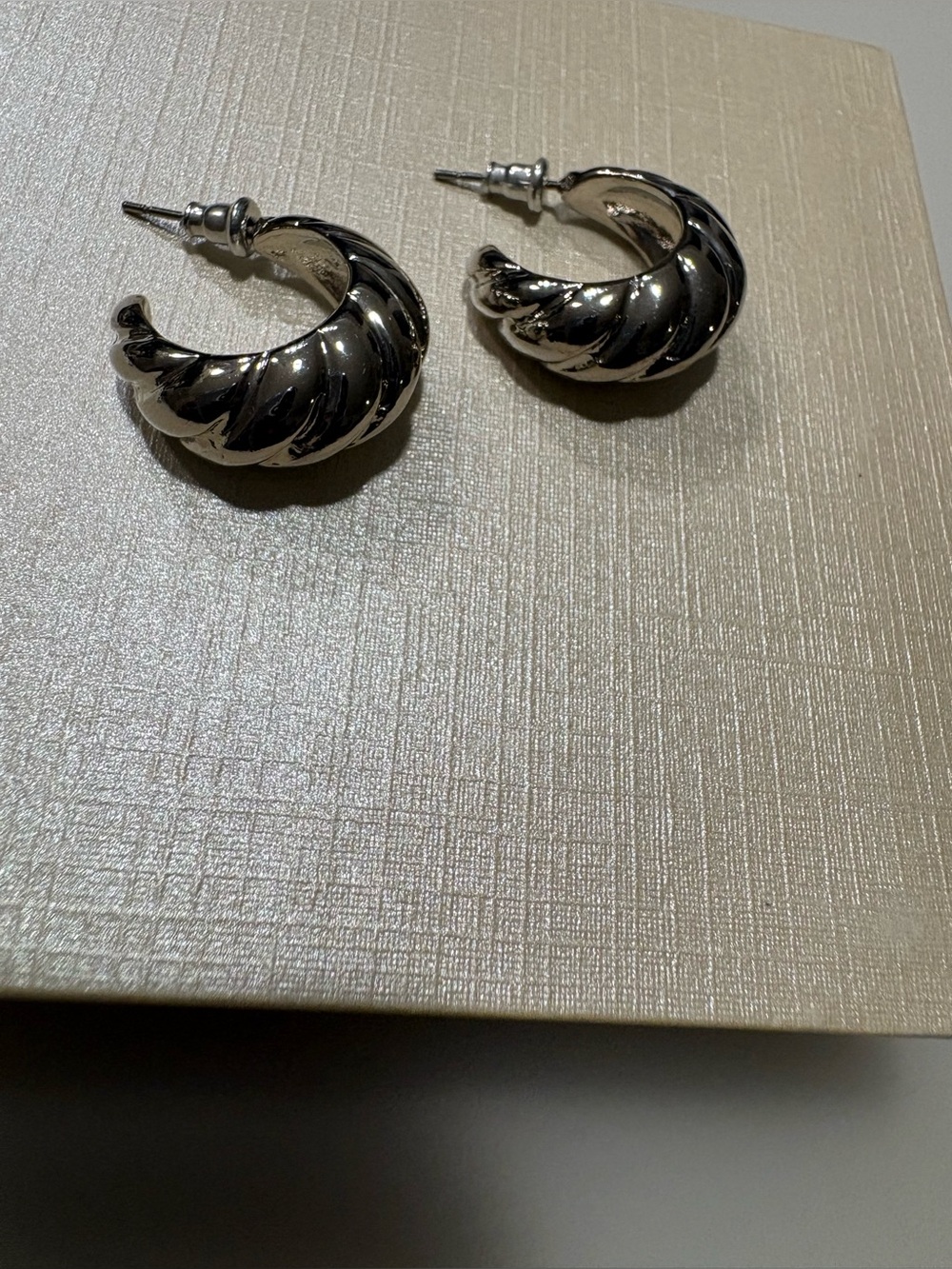 Silver Twisted Hoop Earrings - Classic Women's Jewelry